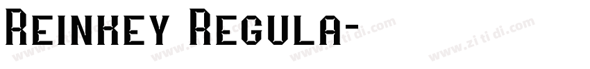 Reinkey Regula字体转换